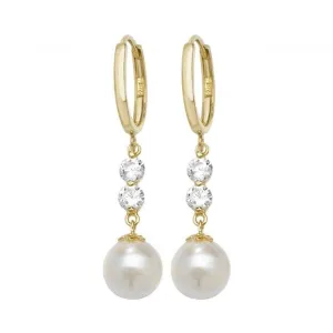 9ct Yellow Gold Drop Earrings ER1142