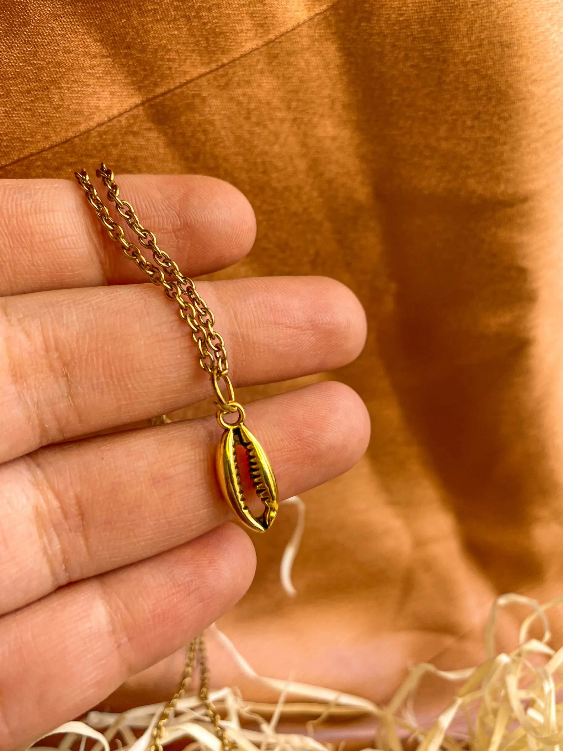 Cowrie Shell/ Coffee Bean Antique Golden Charm | 6 Pcs
