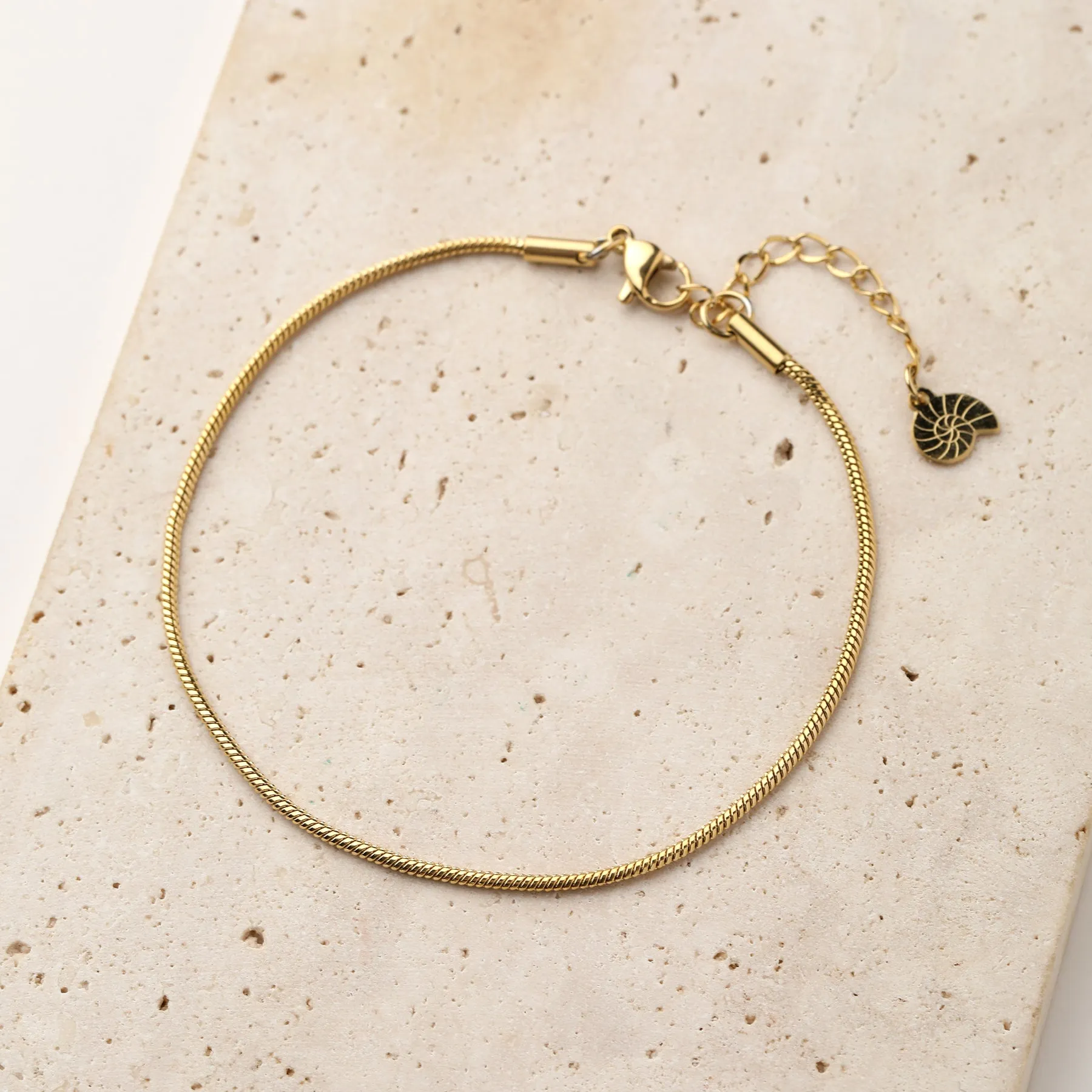 Round Snake Chain Anklet Gold